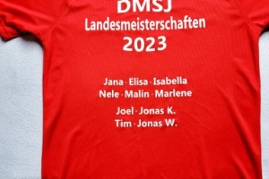 2023/11/12: LSN DMSJ 2023