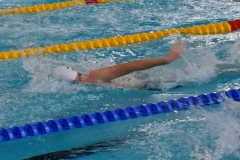 IMG-20231105-WA0014