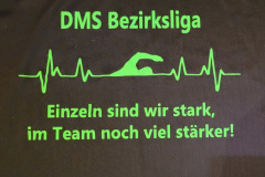 DMS-48